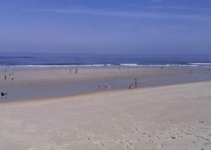 House Tocha Palheiros da Tocha