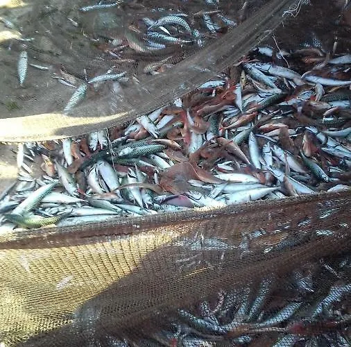 House Tocha Palheiros da Tocha