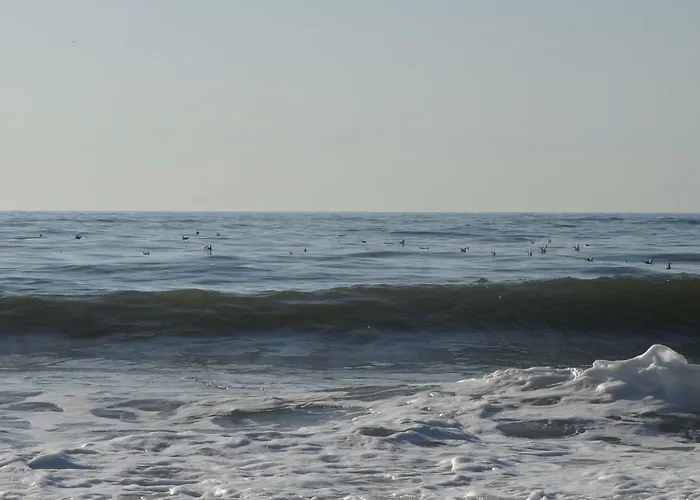 Casa vacanze House Tocha *